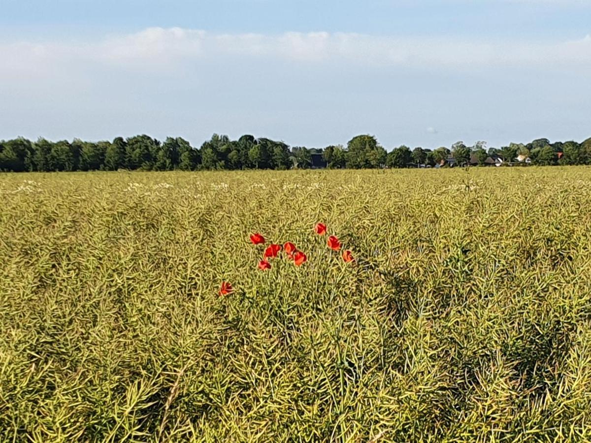 Moewennest Tossens Exteriér fotografie