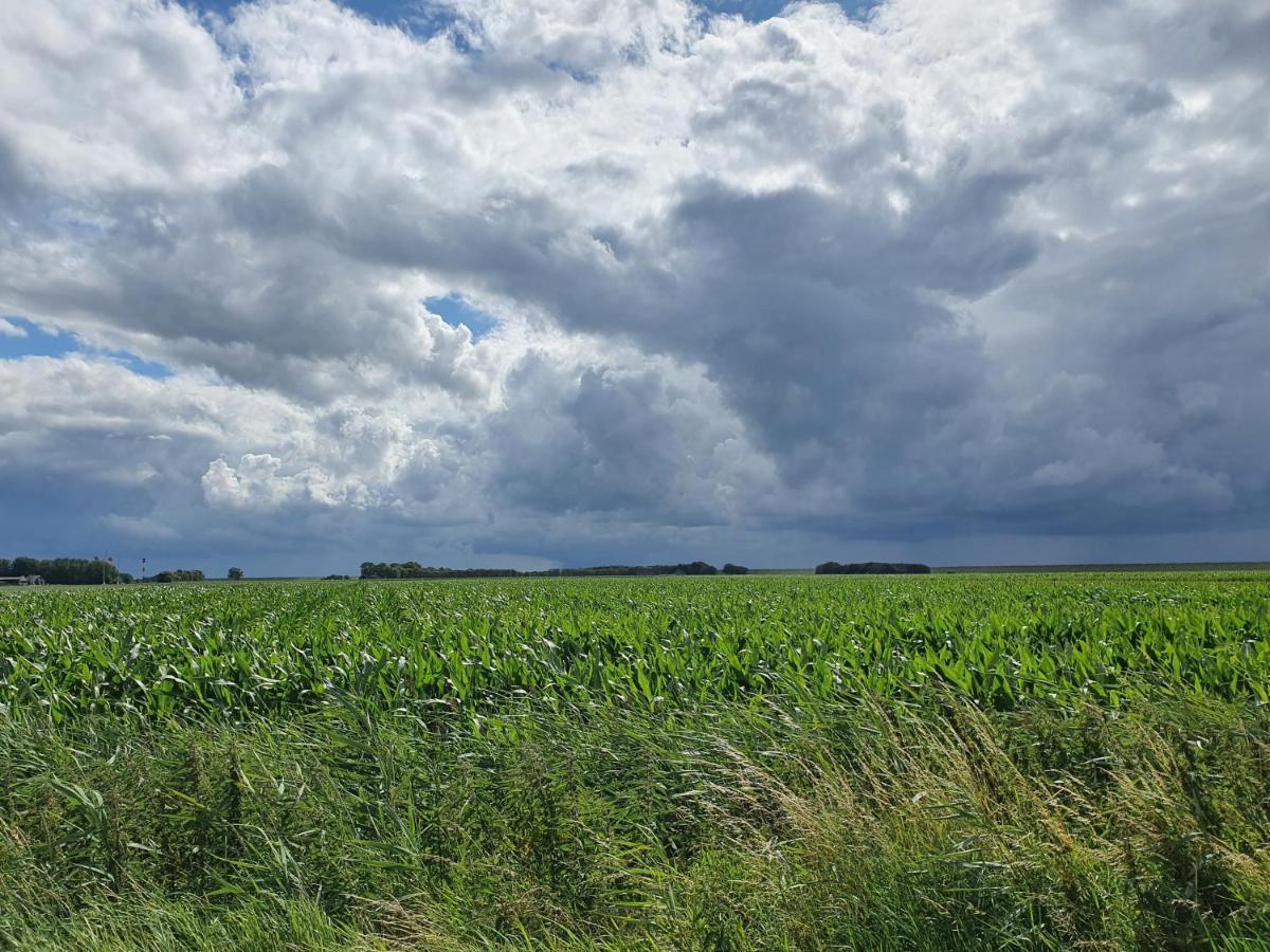 Moewennest Tossens Exteriér fotografie