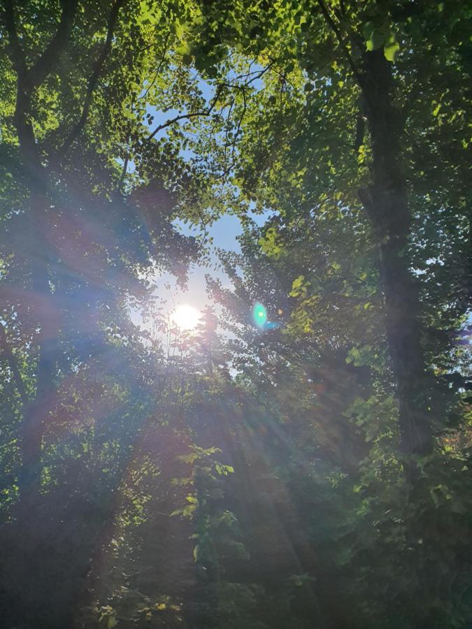 Moewennest Tossens Exteriér fotografie
